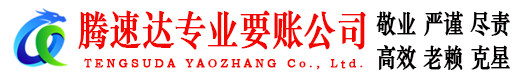 大丰追债公司
